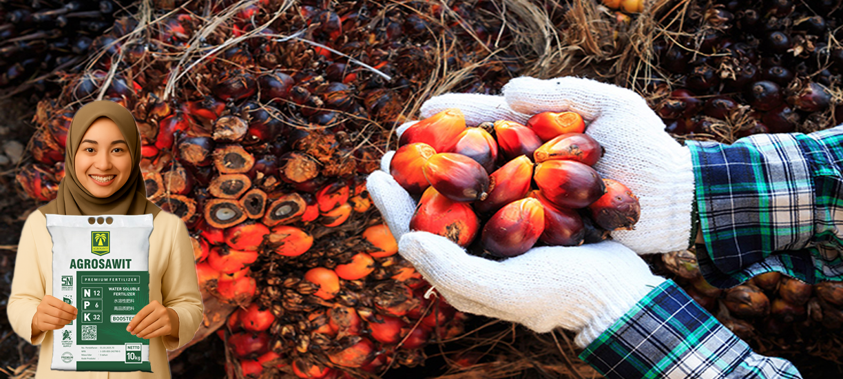 about-us-information