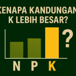 Kenapa Kandungan K pada Pupuk NPK Agrosawit Lebih Besar ?
